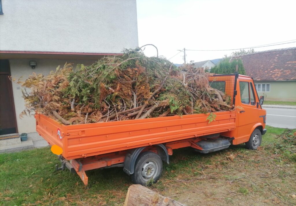 Rušenje drveća ZG