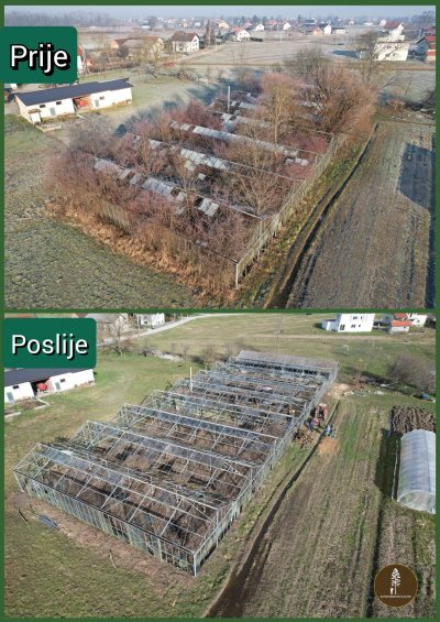 Rušenje drveća ZG